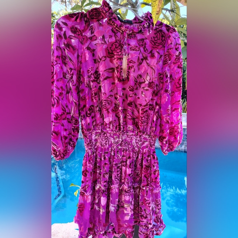 ANTHROPOLOGIE OPT PINK ROMANTIC ROSES VALENTINE'S MINI DRESS WOMEN'S Size M.